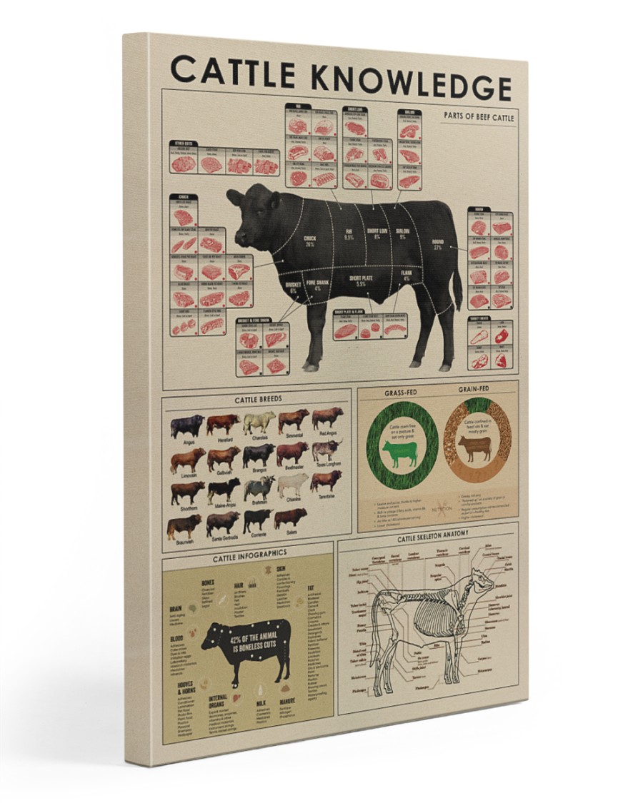 Cattle knowledge Art Canvas 20x30 Gallery Wrapped Canvas Prints