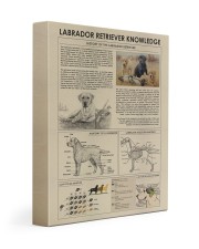 Labrador retriever Knowledge 11x14 Gallery Wrapped Canvas Prints thumbnail