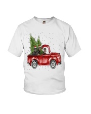 Rottweiler Christmas Car Youth T-Shirt thumbnail