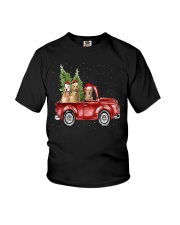 Golden Retriever Christmas Car Youth T-Shirt thumbnail