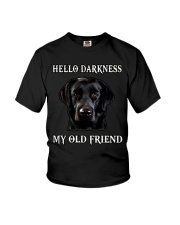 Labrador Hello Darkness My Old Friend Youth T-Shirt thumbnail