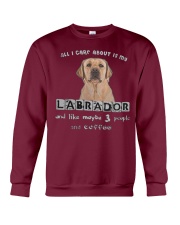 all I Care About is my Labrador Crewneck Sweatshirt thumbnail