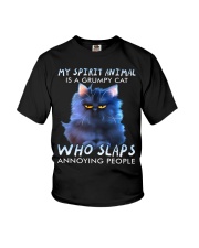 MY SPIRIT ANIMAL IS A GRUMPY Youth T-Shirt tile
