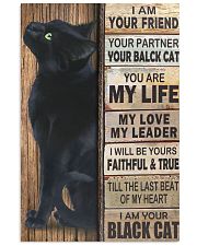 Cat Partner 11x17 Poster front