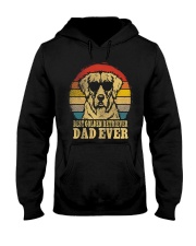 Golden Retriever Dad Hooded Sweatshirt tile