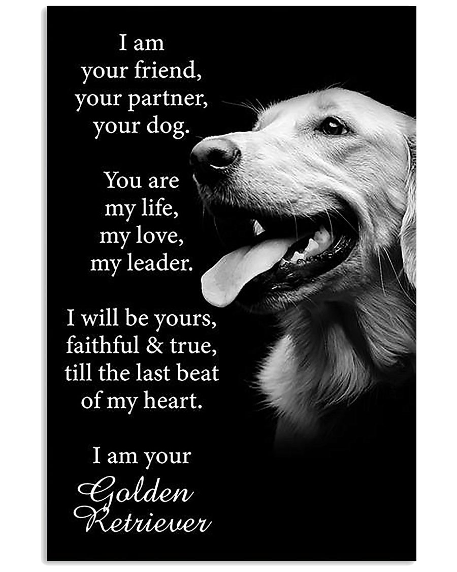 Golden Retriever Poster 11x17 Poster