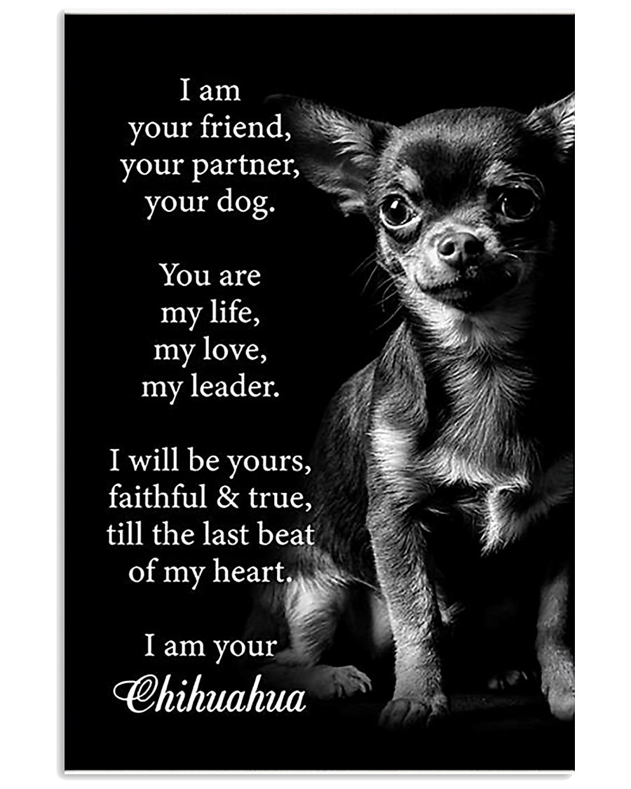 Chihuahua Friend Poster 11x17 Poster
