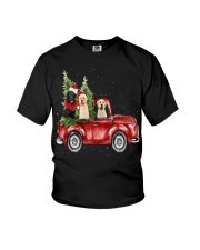 Labrador Christmas Car Youth T-Shirt thumbnail