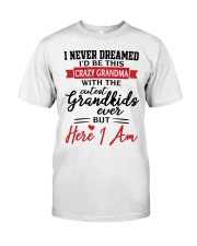 THE CRAZY GRANDMA Classic T-Shirt front