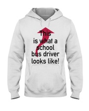 THIS IS WHAT A SCHOOL BUS DRIVER Hooded Sweatshirt front