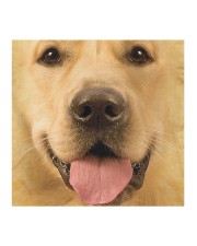 Cute 3D Golden Retriever Cloth face mask aos-face-mask-coverlet-lifestyle-front-02