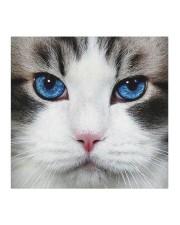 Cute Blue eyes Cat Cloth face mask aos-face-mask-coverlet-lifestyle-front-02