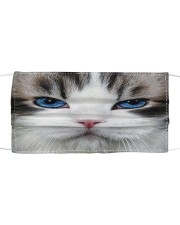 Cute Blue eyes Cat Cloth face mask front