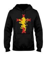 Knights Templar - Limited Edition Hooded Sweatshirt thumbnail