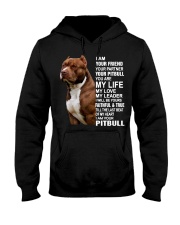 I Am Your Friend Hooded Sweatshirt front