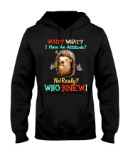 Wait What I HAve An Attitude Hooded Sweatshirt tile