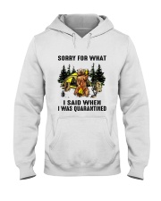 I Was Quarantined Hooded Sweatshirt tile