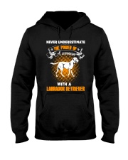 WOMAN WITH A LABS Hooded Sweatshirt thumbnail