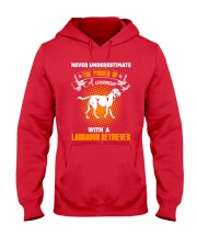 WOMAN WITH A LABS Hooded Sweatshirt front