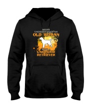Labrador Retriever4 Hooded Sweatshirt thumbnail