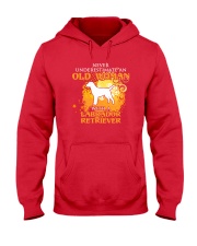 Labrador Retriever4 Hooded Sweatshirt front