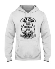 Hug A Sphynx Cat Hooded Sweatshirt front