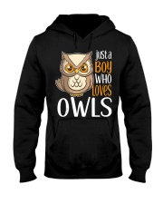 Just a Boy Who Loves Owls Cute Owl Gift Hooded Sweatshirt thumbnail