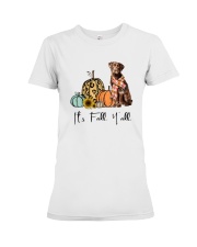 Chocolate Labrador Premium Fit Ladies Tee thumbnail