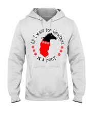All I Want For Christmas Is A Pony Hooded Sweatshirt tile