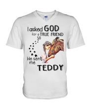 He Sent Me Teddy V-Neck T-Shirt tile