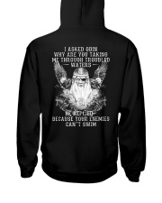 I Asked Odin - Viking Shirt Hooded Sweatshirt back