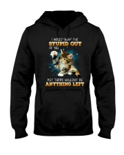 Cat - I Would Slap The Stupid Out Of You Hooded Sweatshirt tile