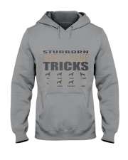 Great Dane Hooded Sweatshirt thumbnail