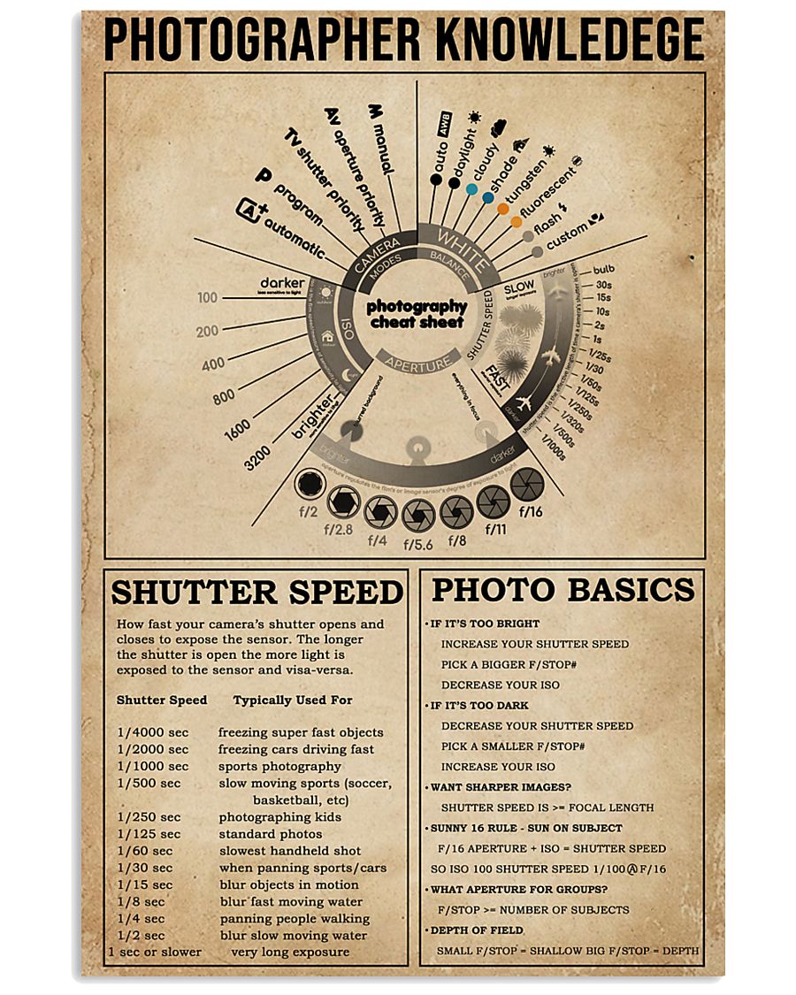 Camera Cheat Poster Photography 11x17 Poster