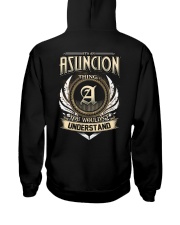 A-S-U-N-C-I-O-N k1 Hooded Sweatshirt back