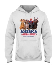 Dachshund 4th Of July Hooded Sweatshirt tile