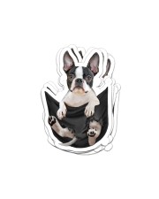 Boston Terrier In Pocket Sticker tile