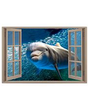 Dolphin Window View 36x24 Poster front