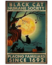 Black Cat 1692 11x17 Poster front