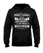 Old Man Perfect Example Hooded Sweatshirt tile