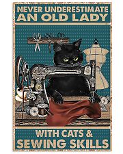 Never Underestimate an old Lady Cat 11x17 Poster front