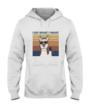 I Do What I Want Hooded Sweatshirt front
