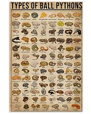 Types Of Ball Pythons 11x17 Poster front
