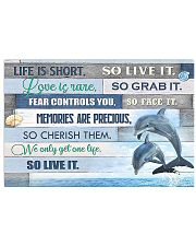 Beautiful Beach Dolphin 17x11 Poster front