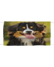 Bernese Mountain face mask Cloth face mask front
