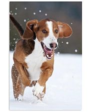 Beautiful Dog 11x17 Poster front