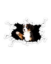 bernese mountain Sticker - Single (Horizontal) front