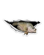 Crappie Sticker - Single (Horizontal) front
