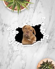 Pitbull Sticker - Single (Horizontal) aos-sticker-single-horizontal-lifestyle-front-06
