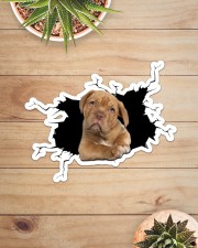 Pitbull Sticker - Single (Horizontal) aos-sticker-single-horizontal-lifestyle-front-07